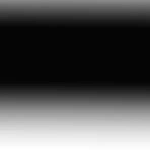 Пищевой краситель PALITRA, ЧЕРНЫЙ